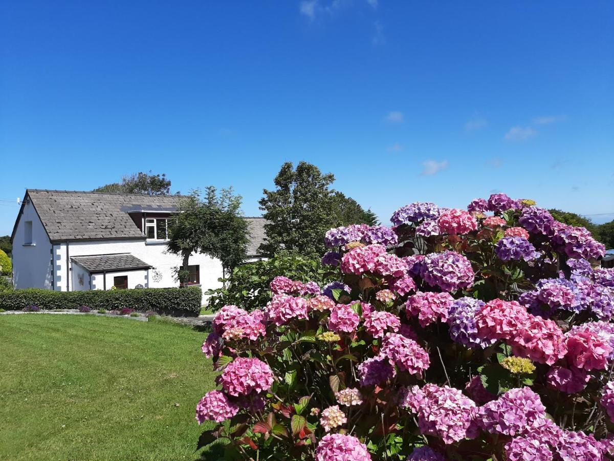 Trenewydd Farm Holiday Cottages كارديغين المظهر الخارجي الصورة