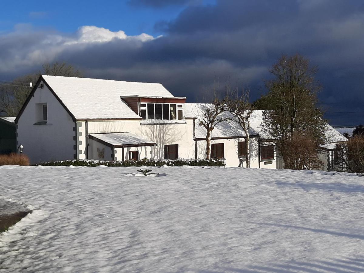 Trenewydd Farm Holiday Cottages كارديغين المظهر الخارجي الصورة