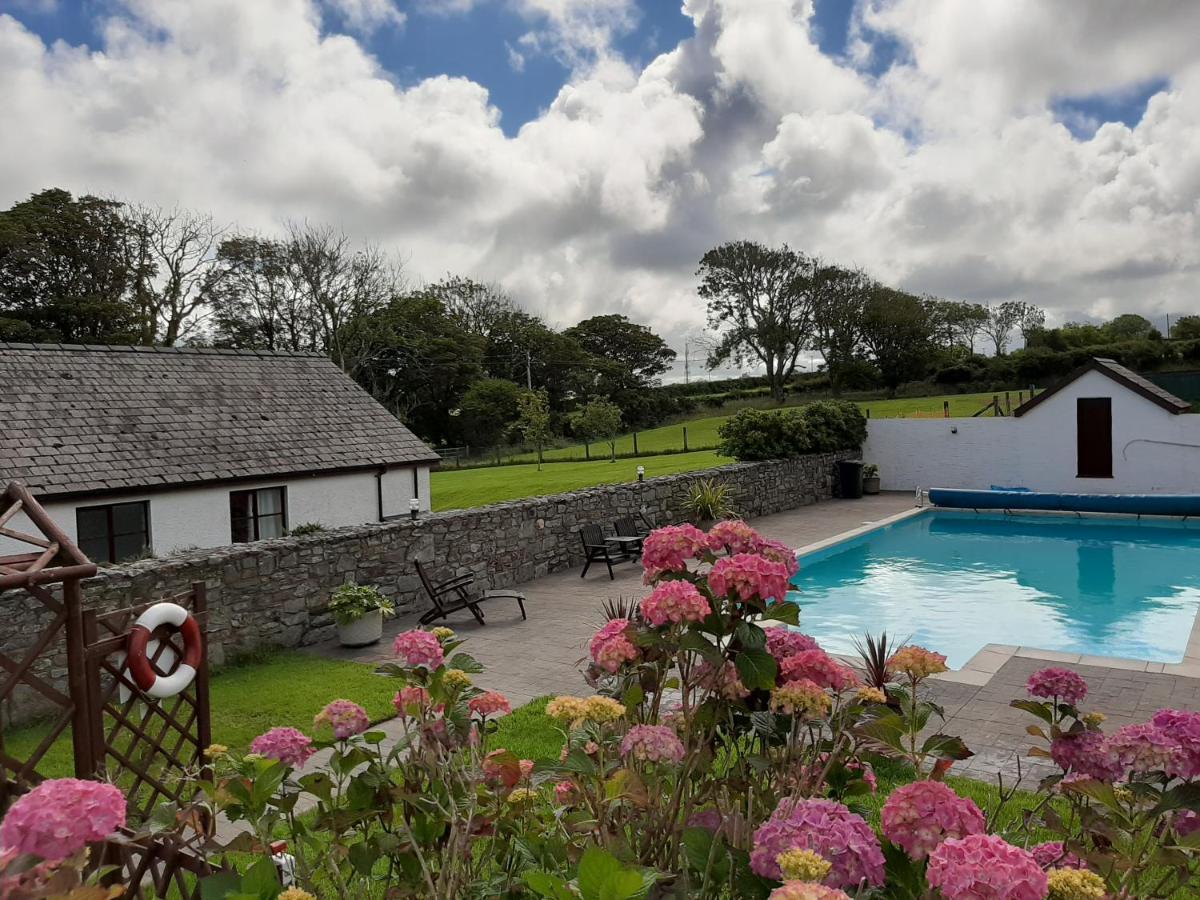 Trenewydd Farm Holiday Cottages كارديغين المظهر الخارجي الصورة