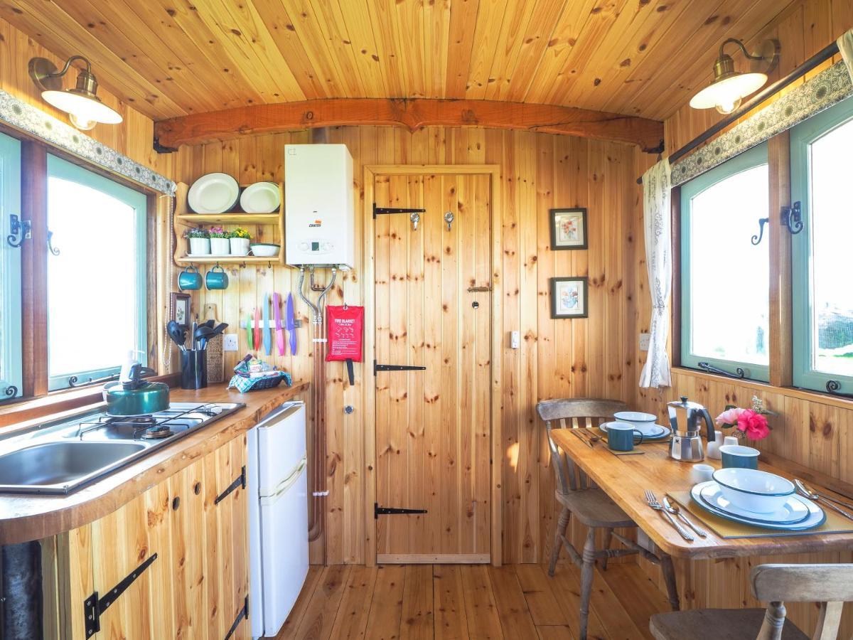 Trenewydd Farm Holiday Cottages كارديغين المظهر الخارجي الصورة