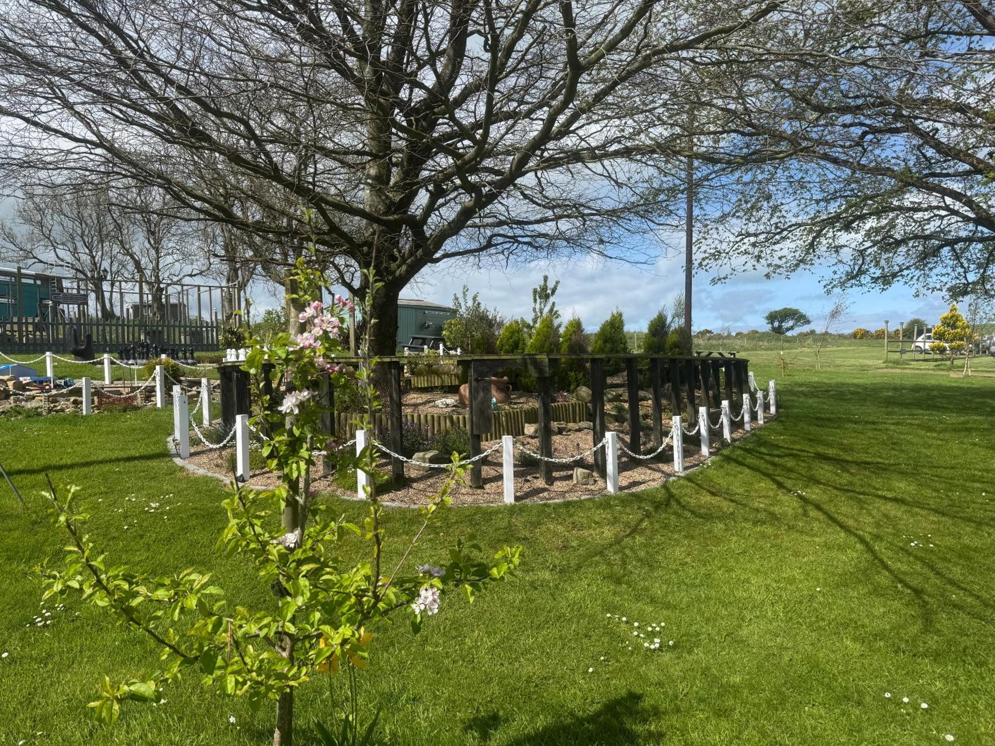 Trenewydd Farm Holiday Cottages كارديغين المظهر الخارجي الصورة
